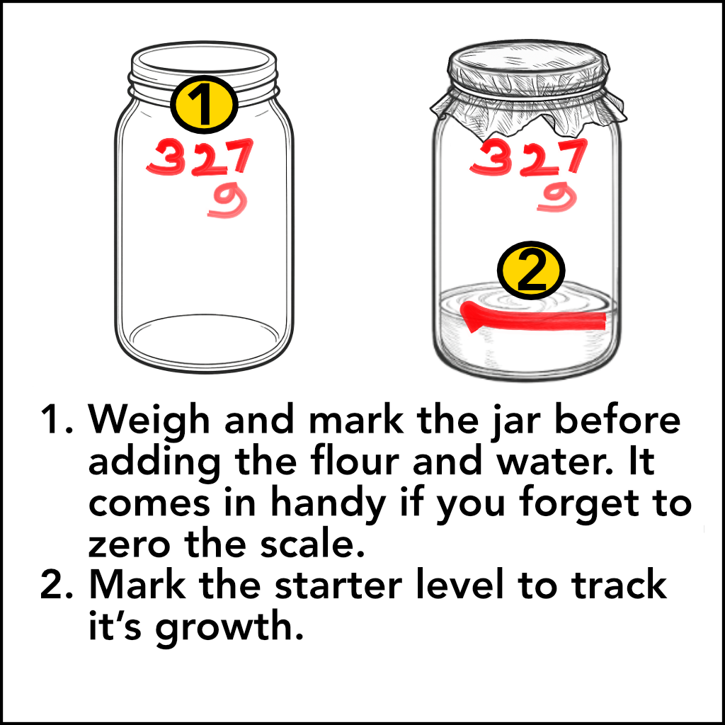 Starter — Day 1 illustration