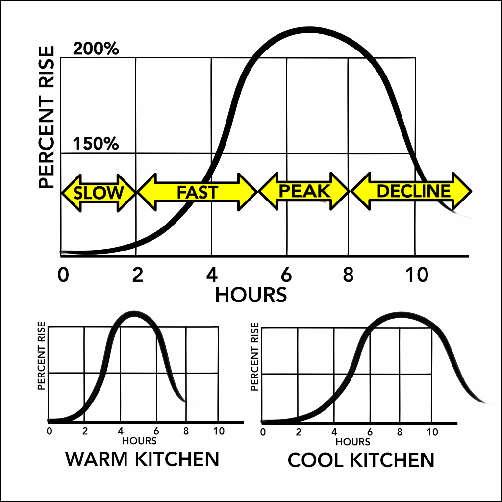 Starter growth curve