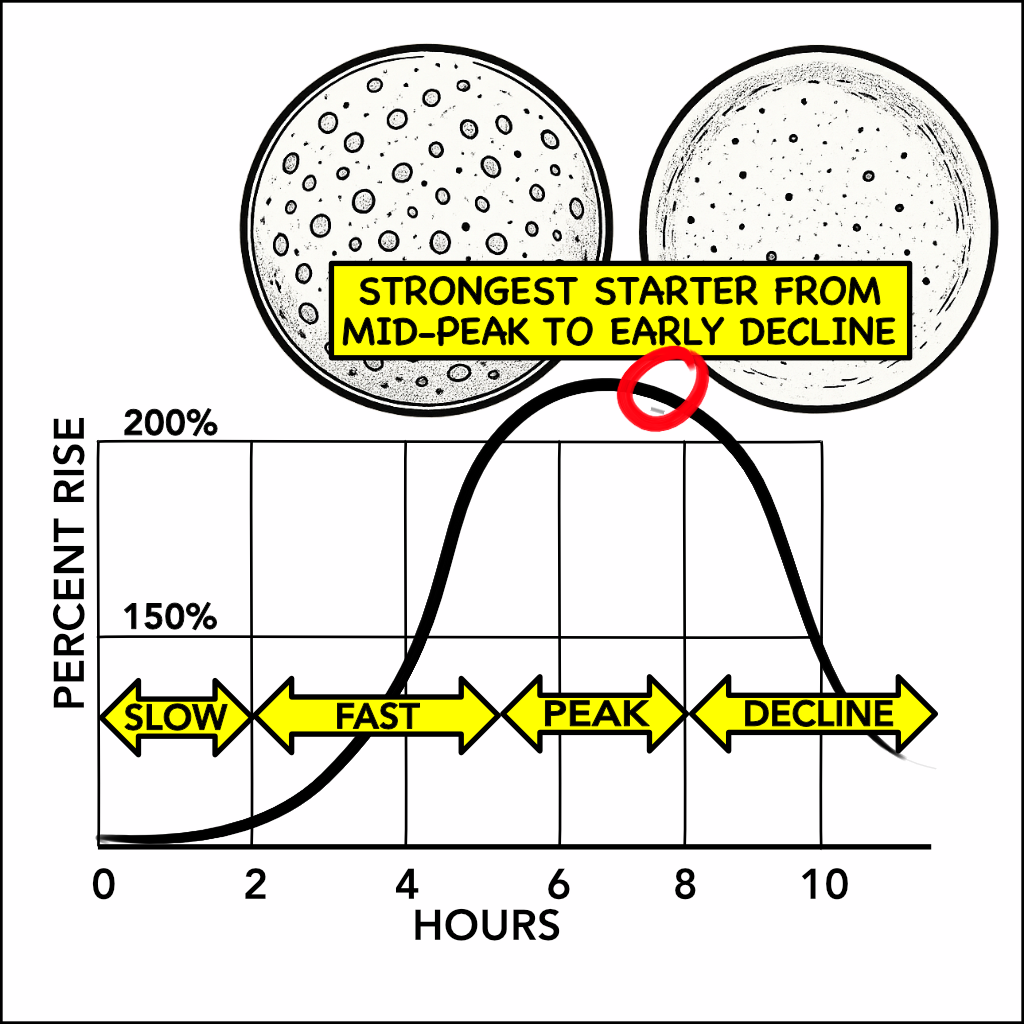 Starter surface just past peak: slight concavity with pinprick holes and a few small bubbles